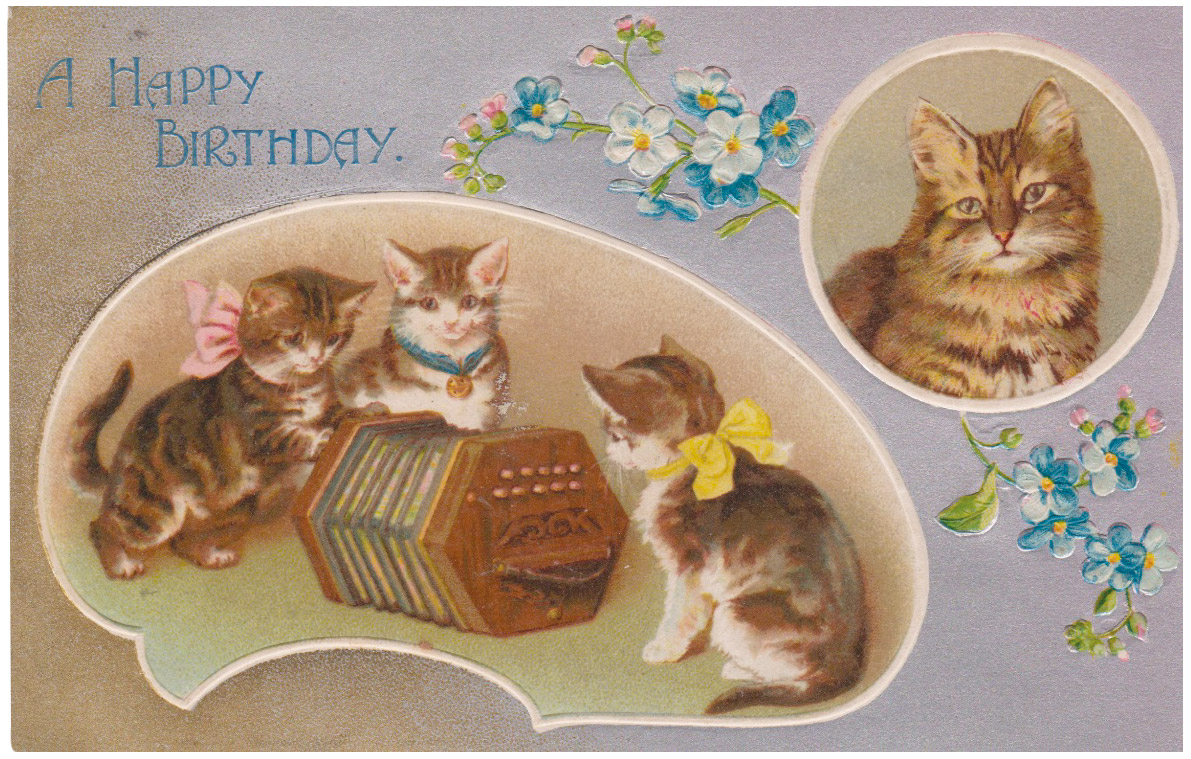 Les animaux sont des sujets très plaisants, cependant la cote va vers les chatons, toujours très « mignons » pour tous (3)